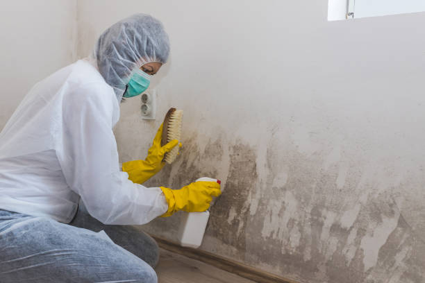 Water Damage Restoration in Nibley, UT
