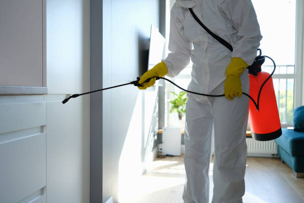 Nibley, UT Mold Removal Company