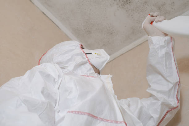 Mold Testing and Removal in Nibley, UT