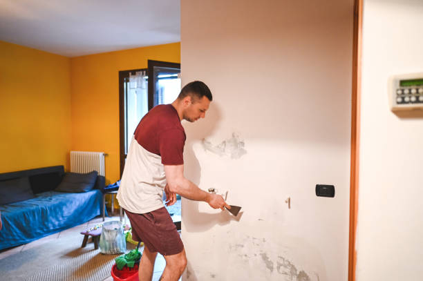 Best Mold Cleaning Services  in Nibley, UT